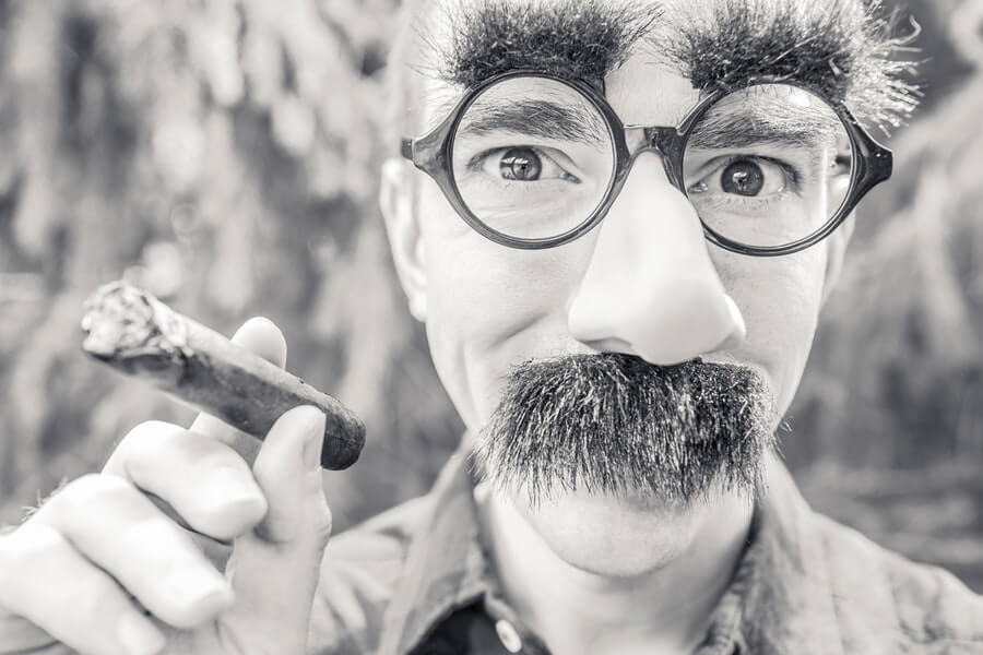 Comment faire pousser du tabac à l