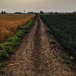 two lands divided by a road