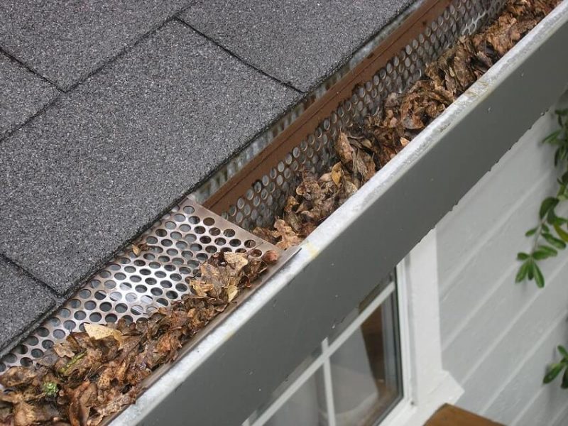 Top 12 Best Gutter Guards for Pine Needles 2021 + FAQ