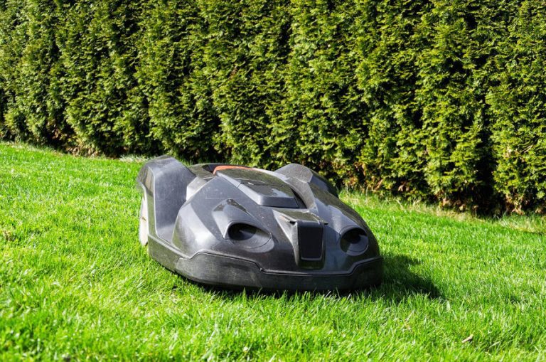 The Pros and Cons of Robotic Lawn Mowers Is it Worth it?
