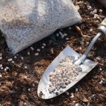 garden spatula with fertilizer