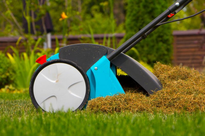 The Top 6 Benefits of Dethatching a Lawn (Pros & Cons)