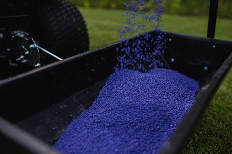 Can You Fertilize Wet Grass? When it’s Ok and When it’s Not