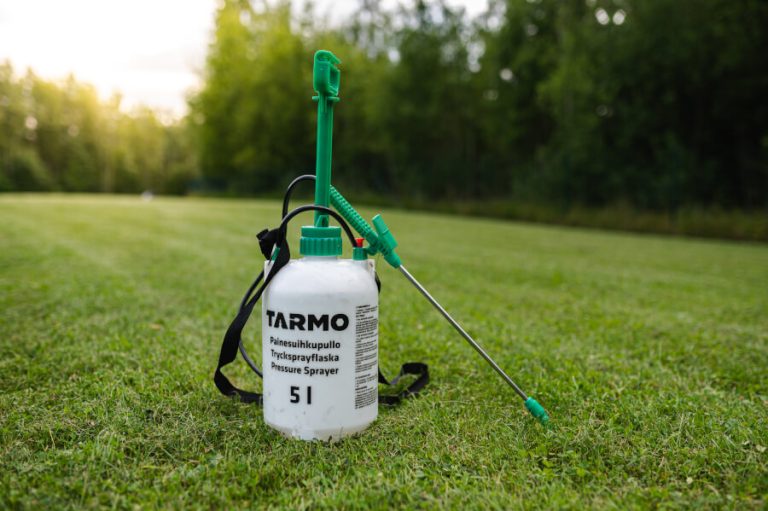 Can You Fertilize Wet Grass? When it’s Ok and When it’s Not