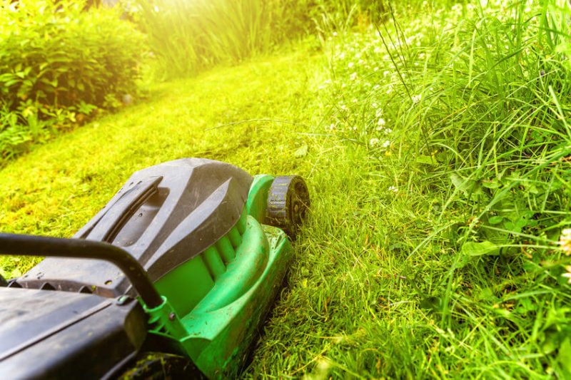 The Pros and Cons of Electric Lawn Mower Is it Worth it?