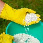 person in yellow gloves holding granual fertilizer