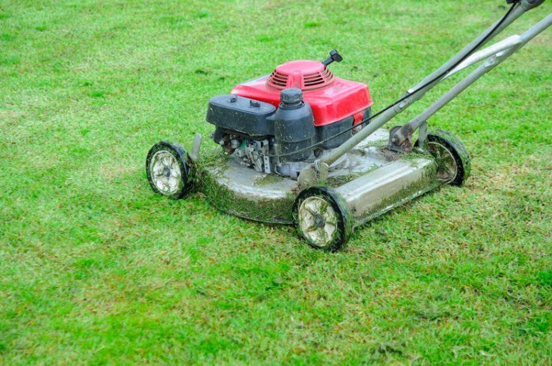 Push Lawn Mower vs SelfPropelled Mower (Pros & Cons)