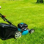 woman cuts the lawn with gas powered push lawnmower