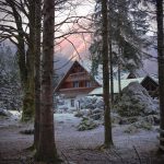 wooden cottage house with large front-yard in winter