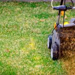 yellow aerator on green lawn